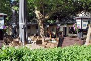 Biergartl im Stadtpark