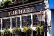 The Harp