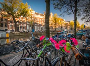 Proč navštívit Amsterdam? 4 jasné důvody