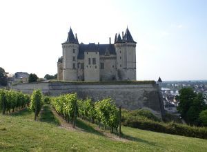 Château de Saumur