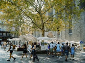 Mercadillo De La Plaça De Sant Josep