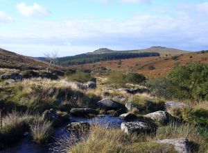 Dartmoor