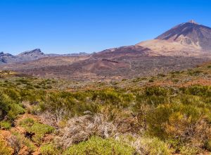 Teide