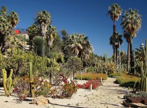 Jardins de Mossèn Costa i Llobera