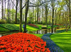 Keukenhof