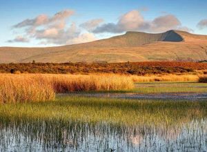 Brecon Beacons