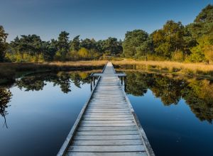 Maasduinen