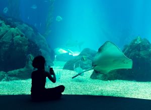 Oceanário de Lisboa