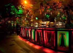 Cross Club, Praha