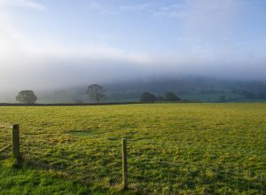 North York Moors