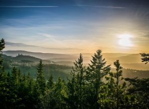 Národní park Šumava