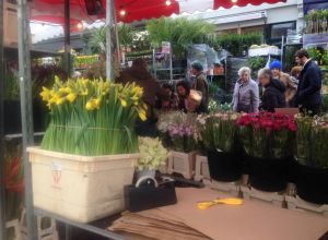 Columbia Road Flower Market