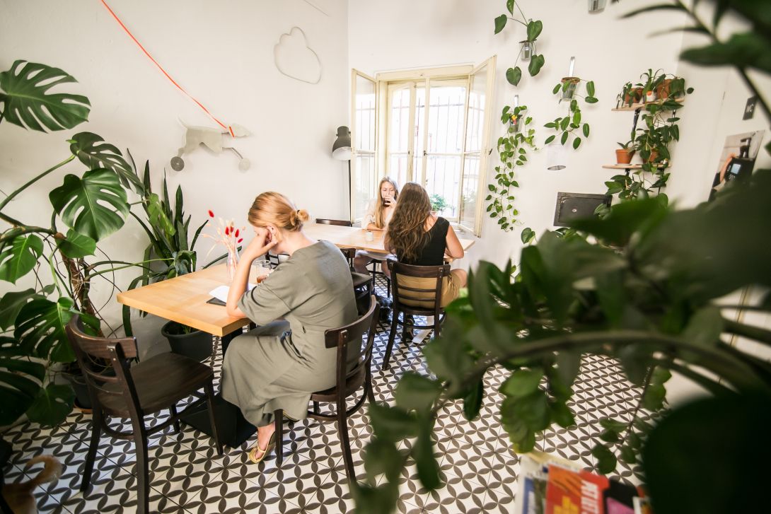 mamacoffee Podolí: Zelená oáza pro kavárenské duše a milovníky pomalého času