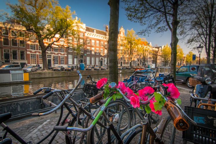 Proč navštívit Amsterdam? 4 jasné důvody