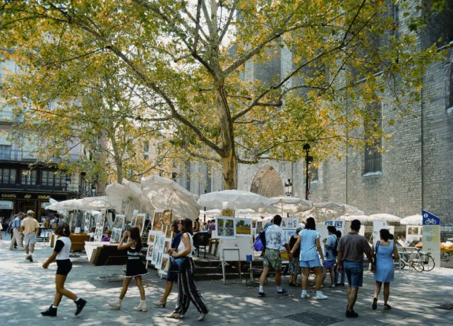 Mercadillo De La Plaça De Sant Josep