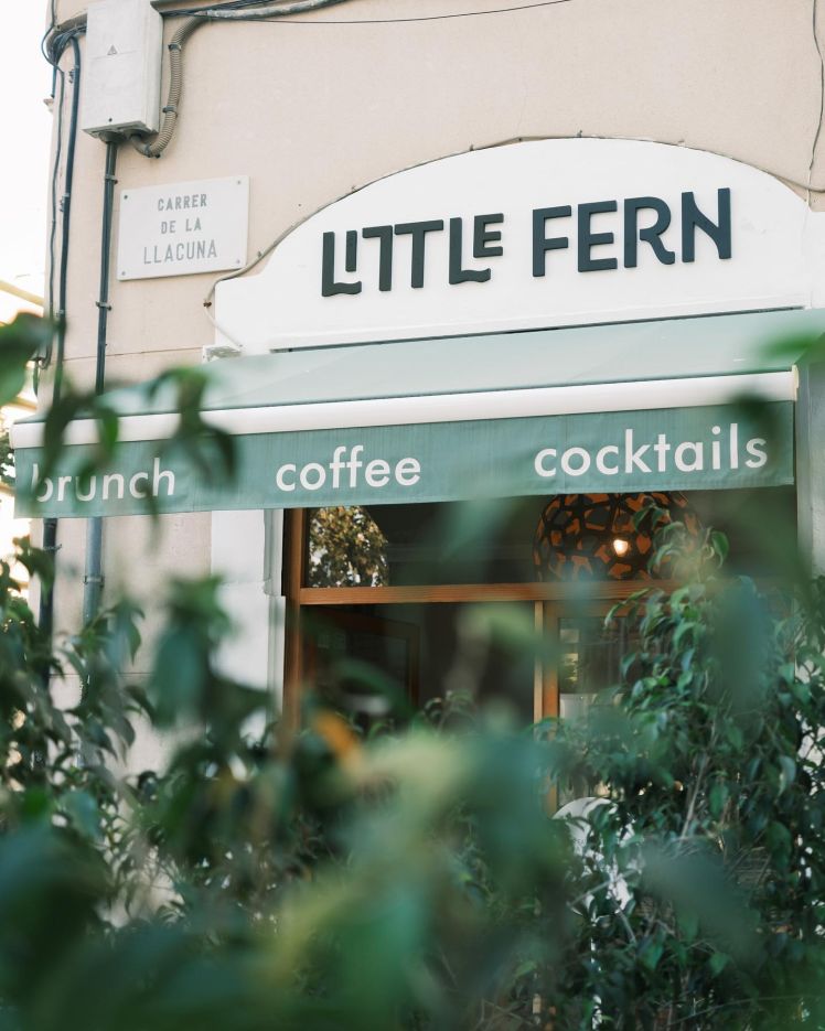 Little Fern