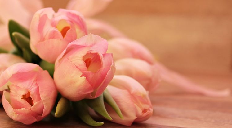 Flowers & Powers